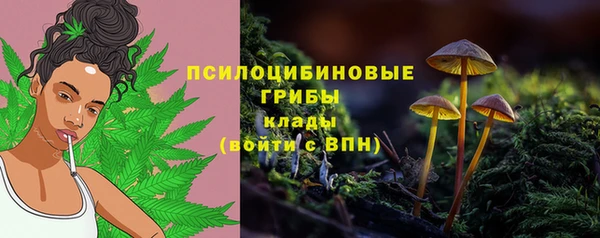 mdpv Каменка