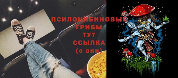 каннабис Каменногорск