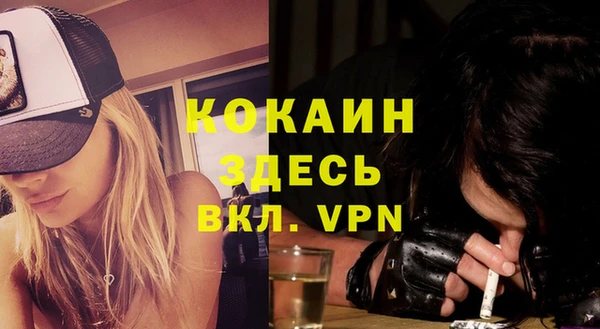 mdpv Каменка