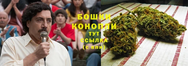 каннабис Каменногорск