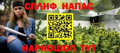 mdpv Белореченск