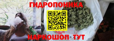 mdpv Белореченск