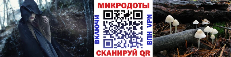 ссылка на мегу   где купить наркоту  Фрязино  Псилоцибиновые грибы Psilocybine cubensis 