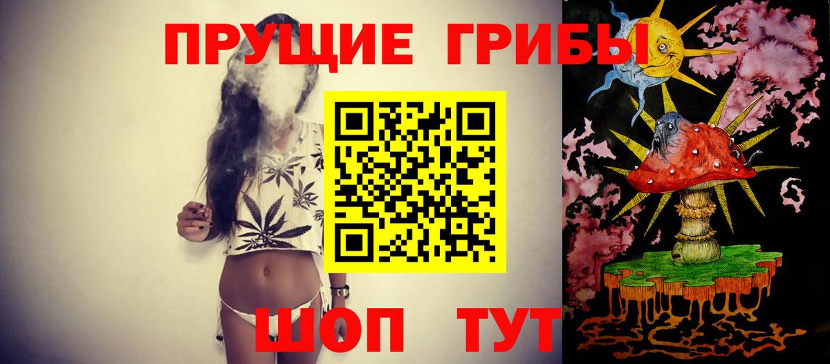 Галлюциногенные грибы прущие грибы  Псилоцибиновые грибы Psilocybe  Вход с VPN  как найти наркотики  Фрязино 